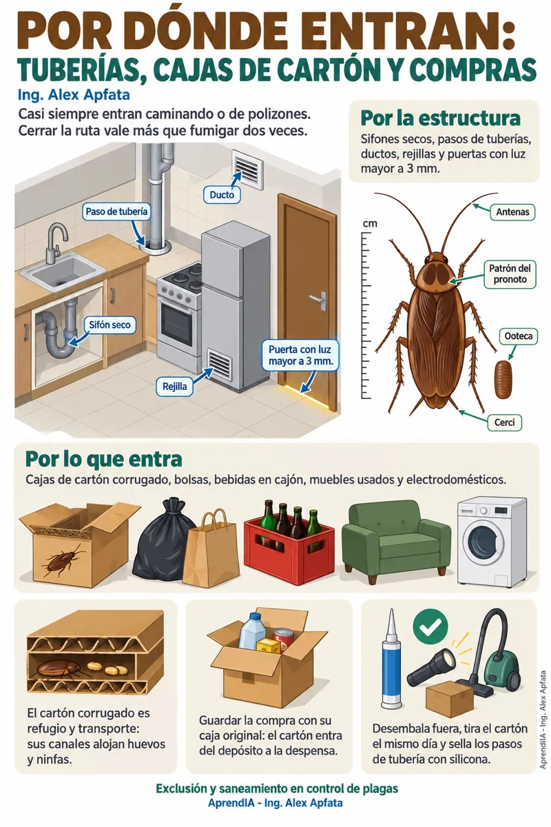 Página real 4 de Acaba con las Cucarachas: control de plagas paso a paso en casa y negocio