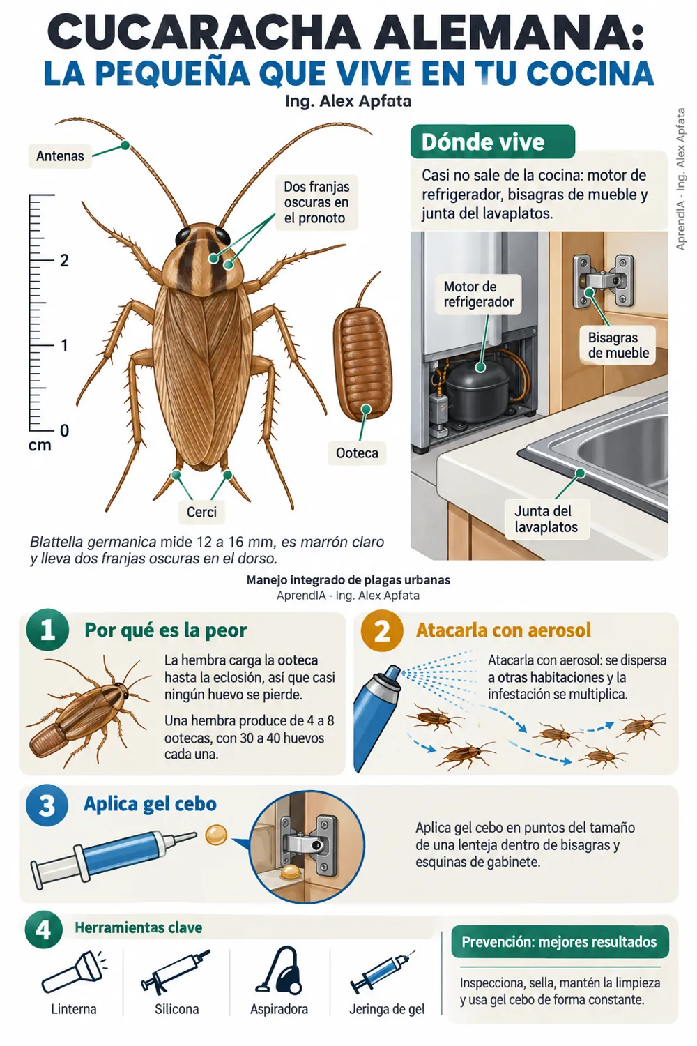 Página real 1 de Acaba con las Cucarachas: control de plagas paso a paso en casa y negocio