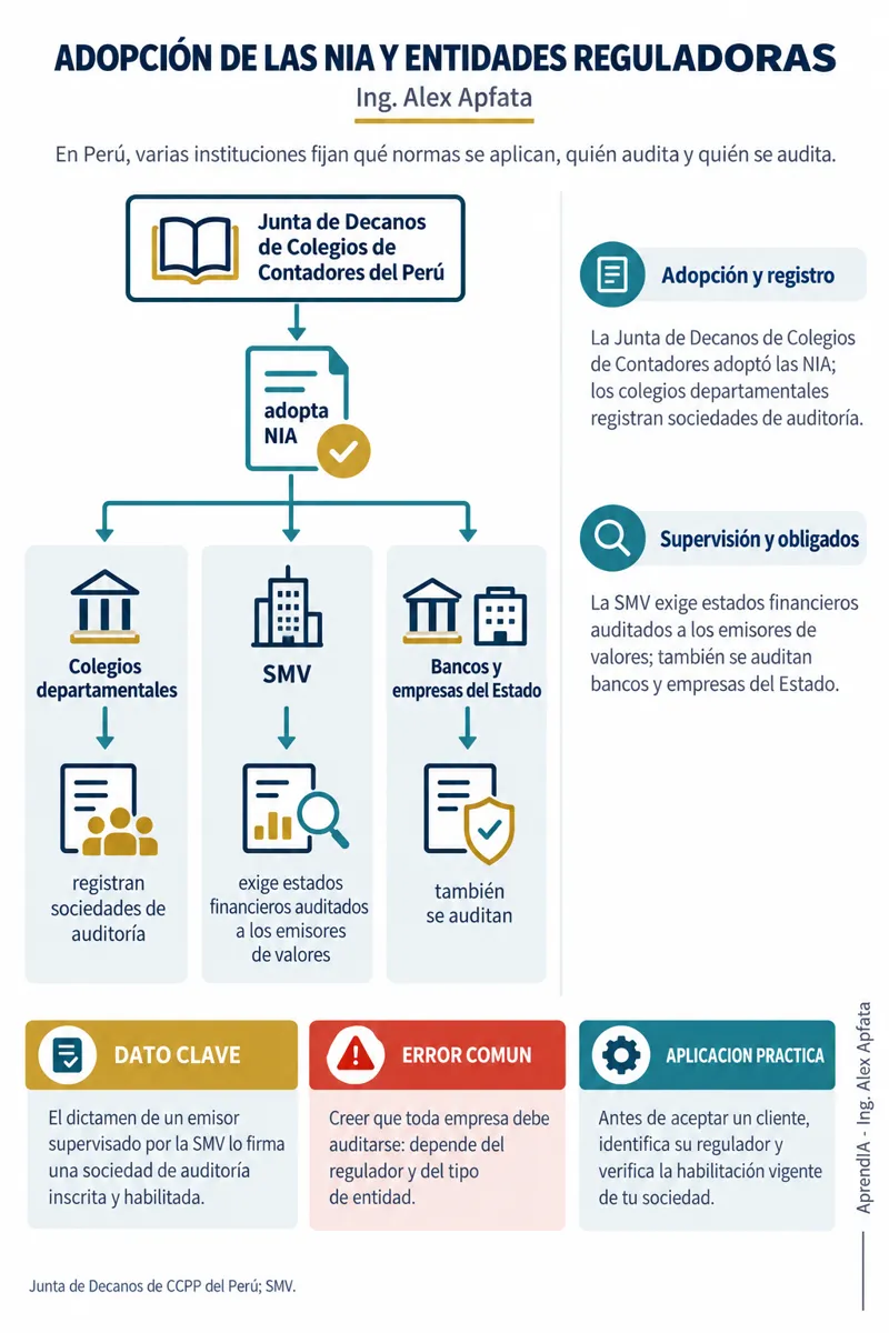 Página real 3 de Auditoría Financiera Paso a Paso