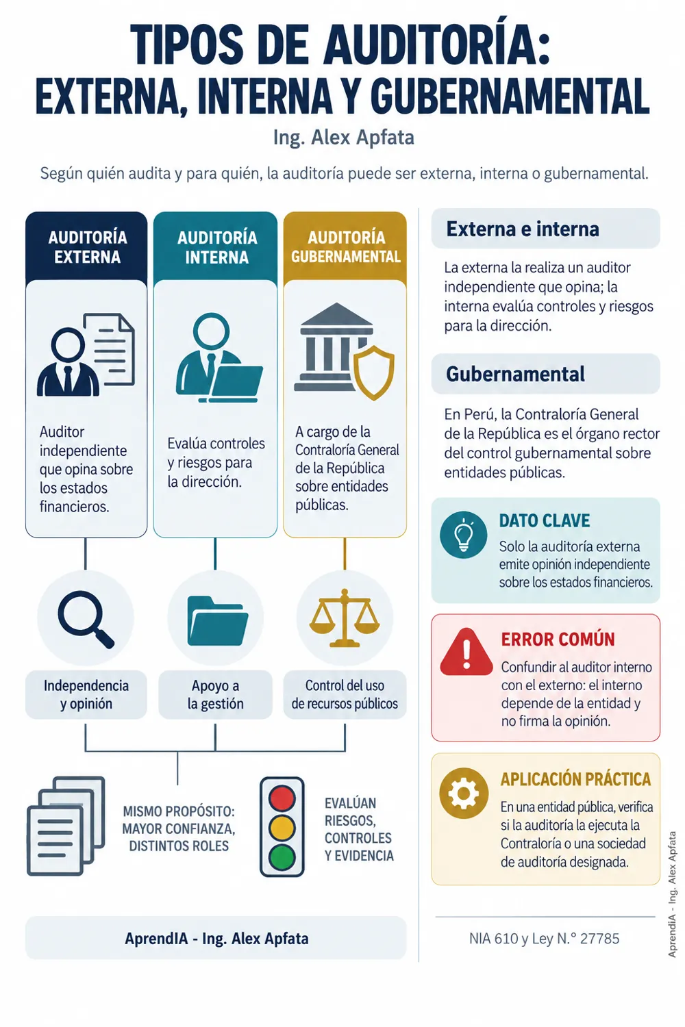 Página real 1 de Auditoría Financiera Paso a Paso