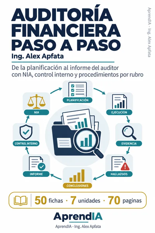Portada: Auditoría Financiera Paso a Paso