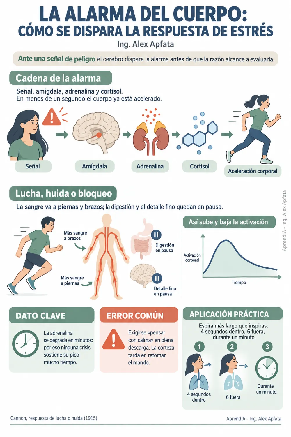 Página real 1 de Guía Práctica para Calmar la Ansiedad: Respiración, Pánico y Pensamientos Intrusivos