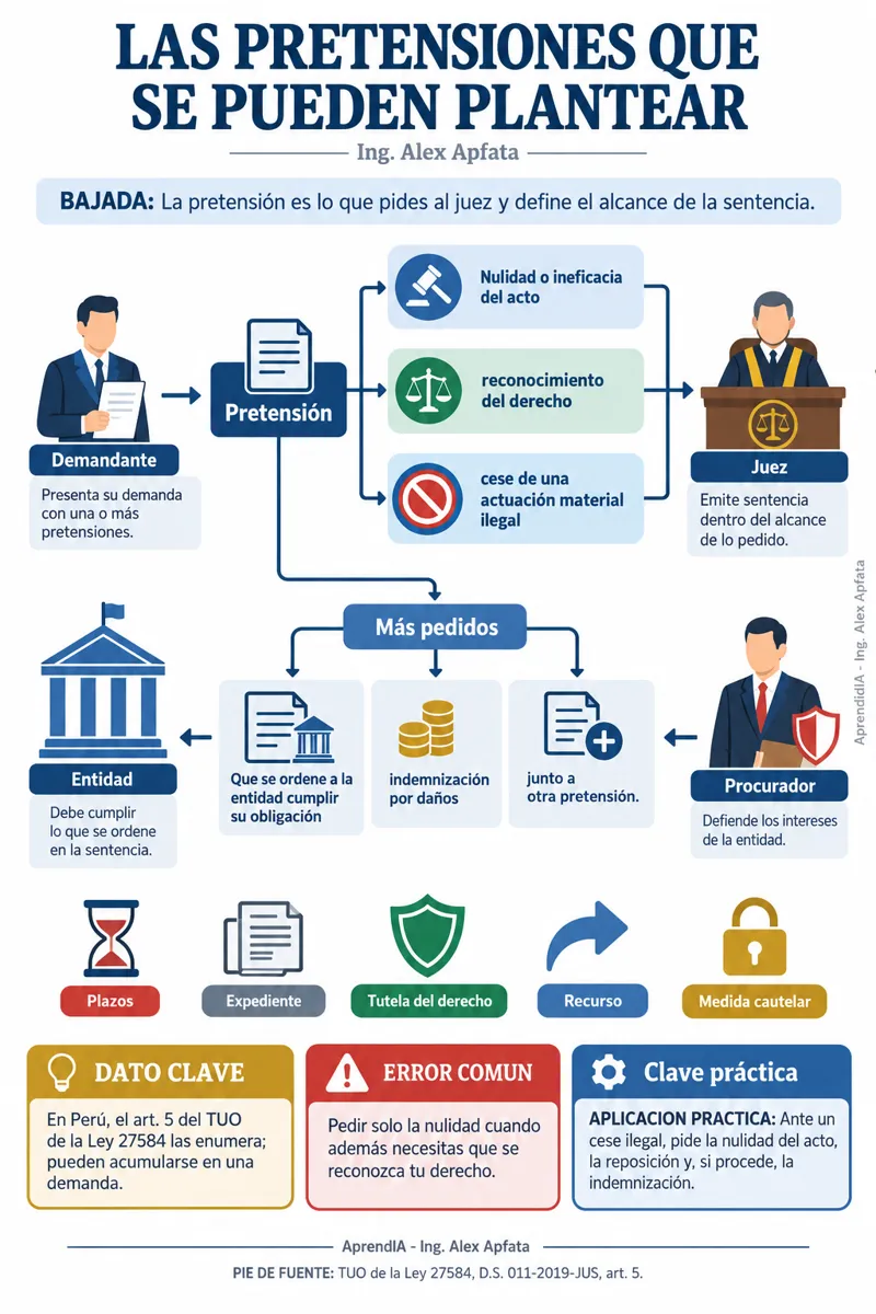 Página real 2 de Proceso Contencioso Administrativo Paso a Paso