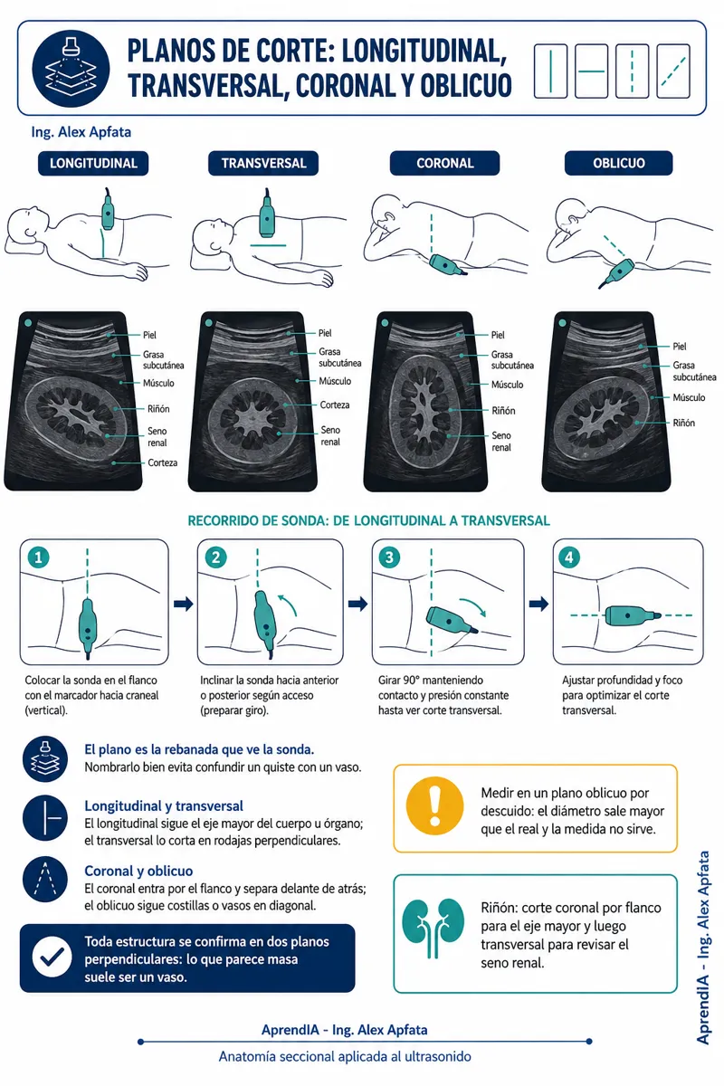 Página real 3 de Ecografía Básica: cortes, FAST y ecografía a pie de cama — Edición México