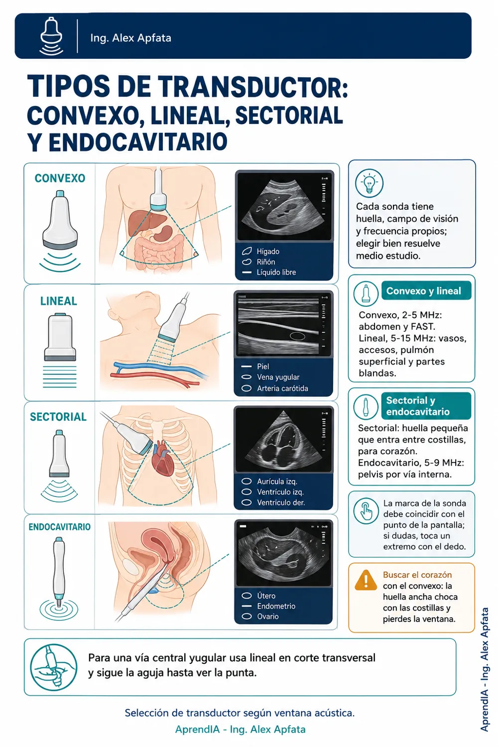 Página real 1 de Ecografía Básica: cortes, FAST y ecografía a pie de cama — Edición México