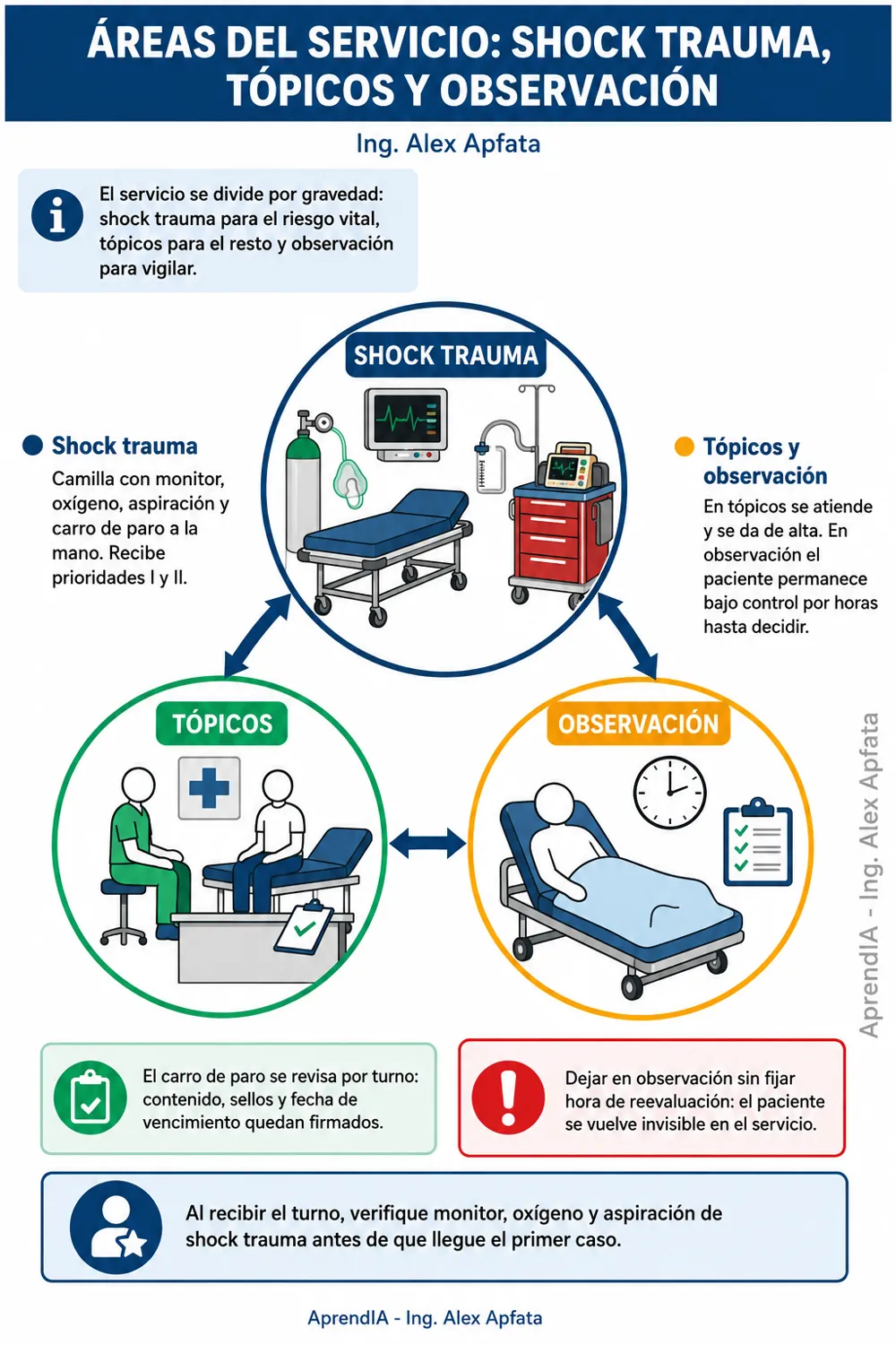 Página real 1 de Enfermería en Emergencias: triaje y primeras 4 horas