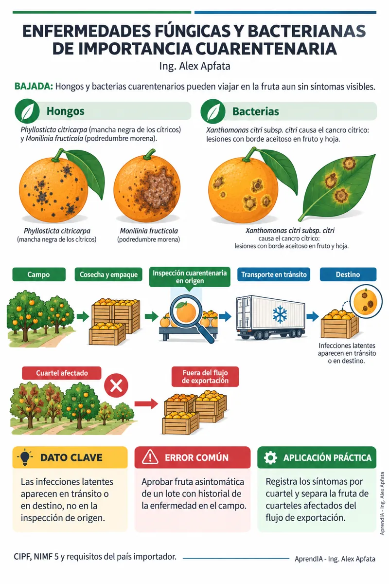 Página real 4 de Exportar Frutas Frescas desde Colombia: Requisitos Fitosanitarios y Trazabilidad