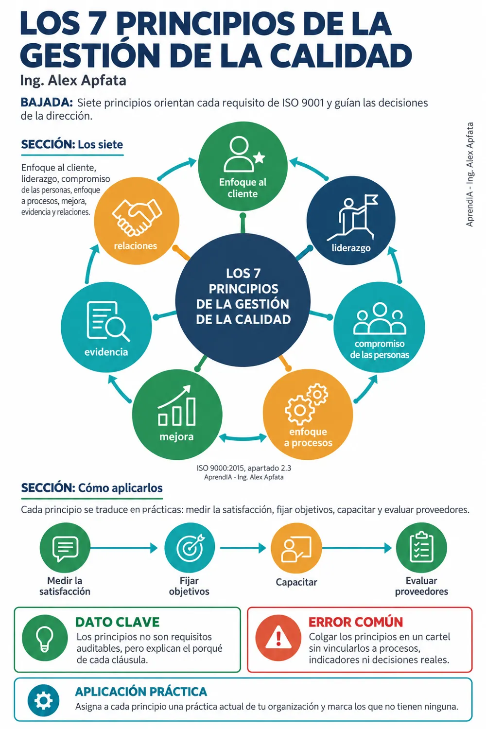 Página real 1 de ISO 9001 Paso a Paso: Mapa de Procesos, Documentación, Auditoría Interna y Certificación