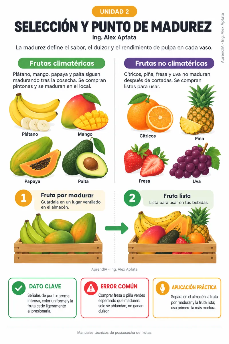 Página real 3 de Juguería y Smoothies: Carta y Rentabilidad — Edición México