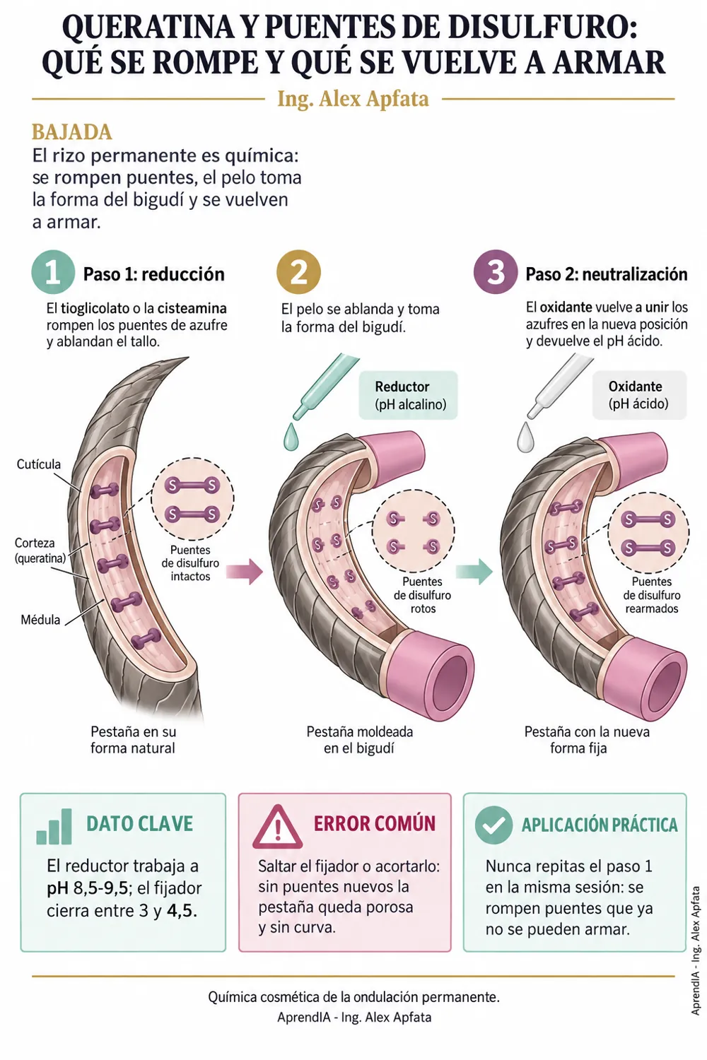 Página real 1 de Lifting y Botox de Pestañas: Elección de Bigudíes, Curvatura, Tiempos Químicos y Tinte — Edición México