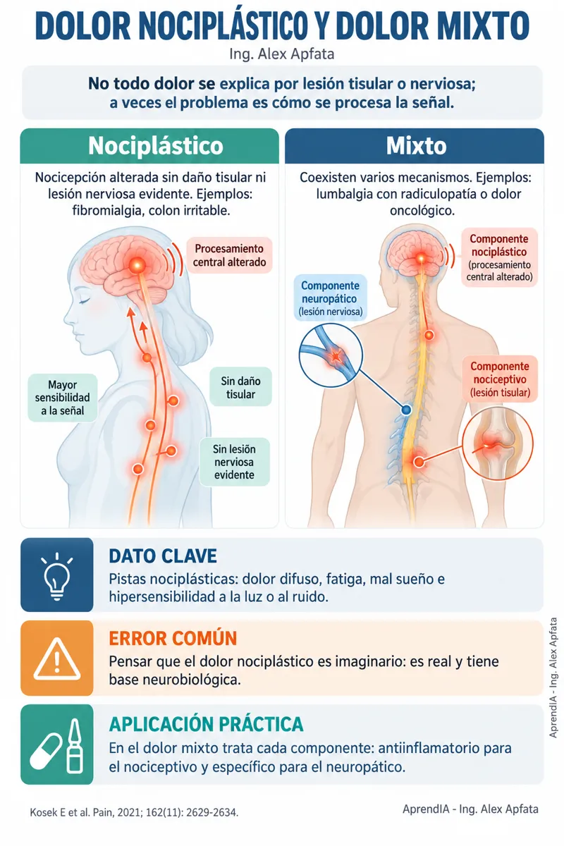Página real 2 de Manejo del Dolor y Analgesia Escalonada: Escala OMS, Opioides, AINE y Efectos Adversos