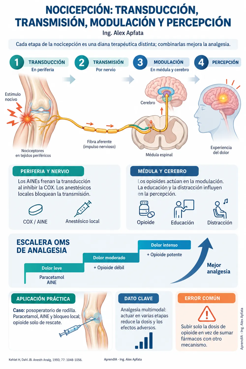 Página real 1 de Manejo del Dolor y Analgesia Escalonada: Escala OMS, Opioides, AINE y Efectos Adversos
