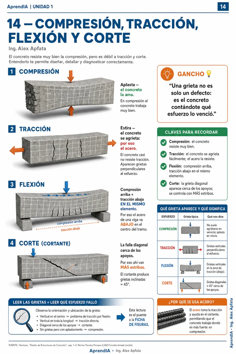 Página real 2 de Manual Visual de Concreto Armado