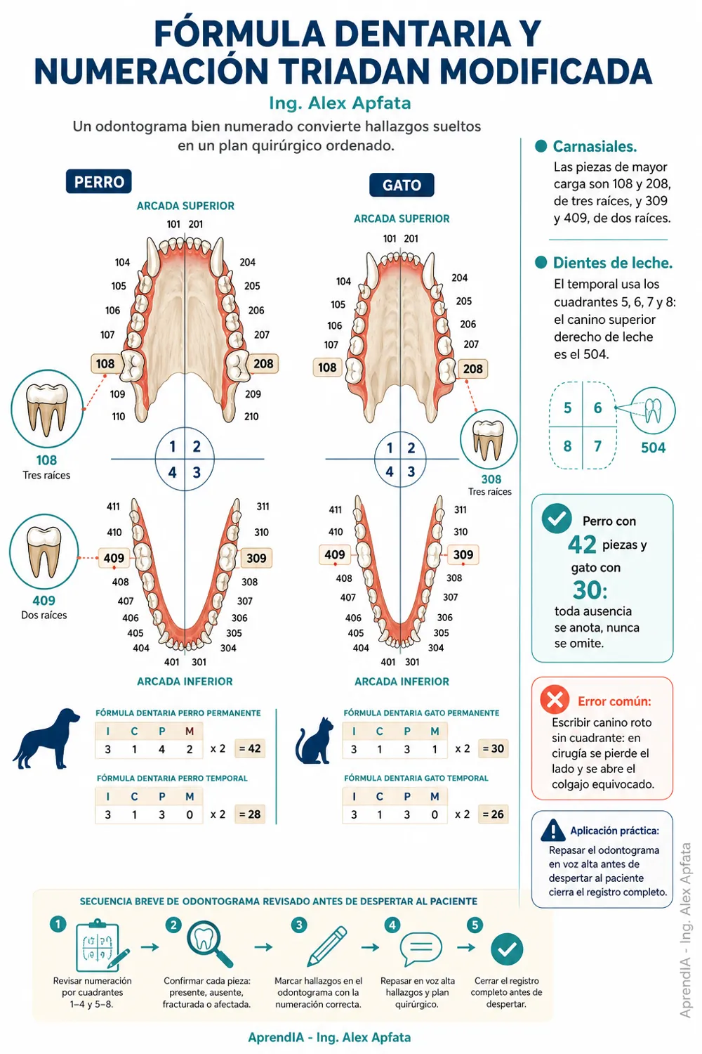 Página real 1 de Odontología Veterinaria: profilaxis y extracciones — Edición México
