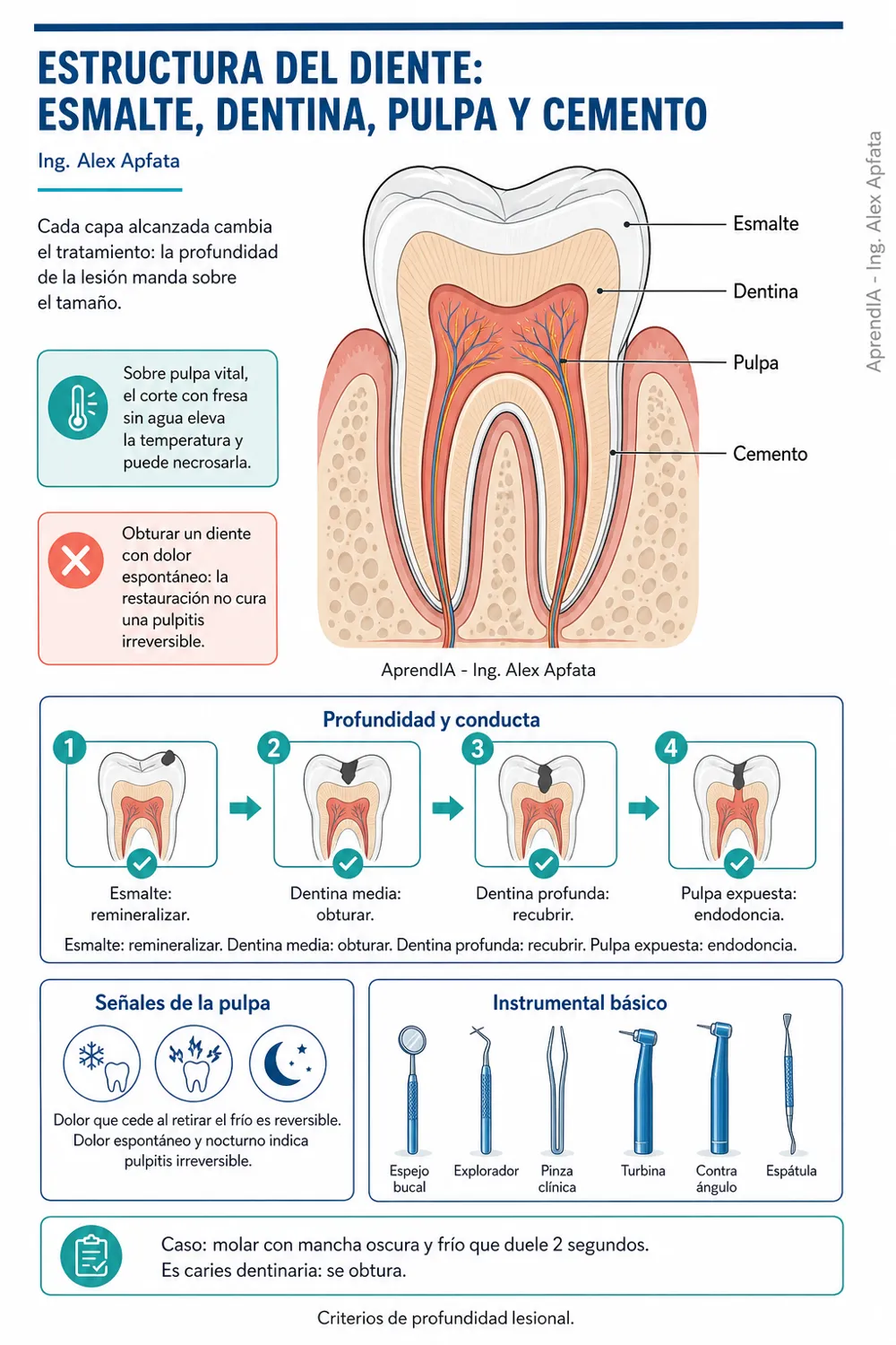 Página real 1 de Odontología Visual Práctica