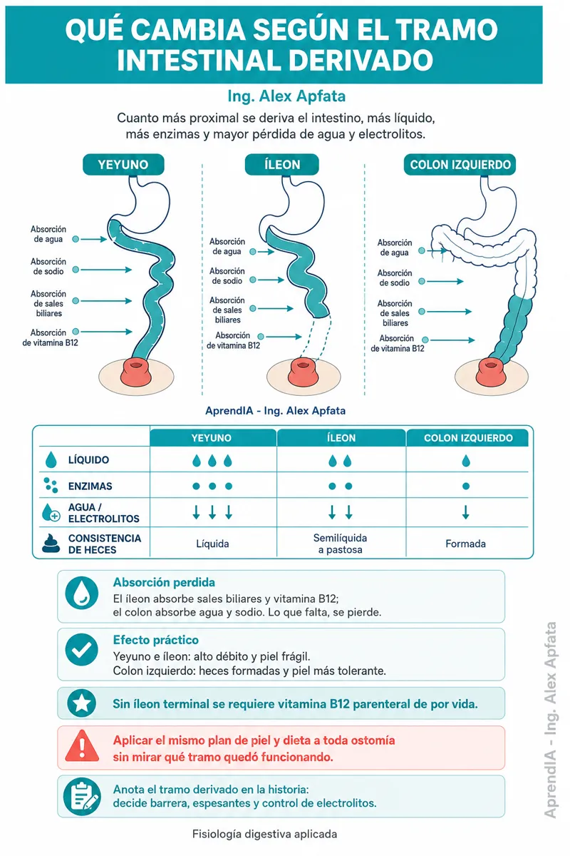 Página real 4 de Ostomías y Cuidado del Estoma — Guía Visual Práctica