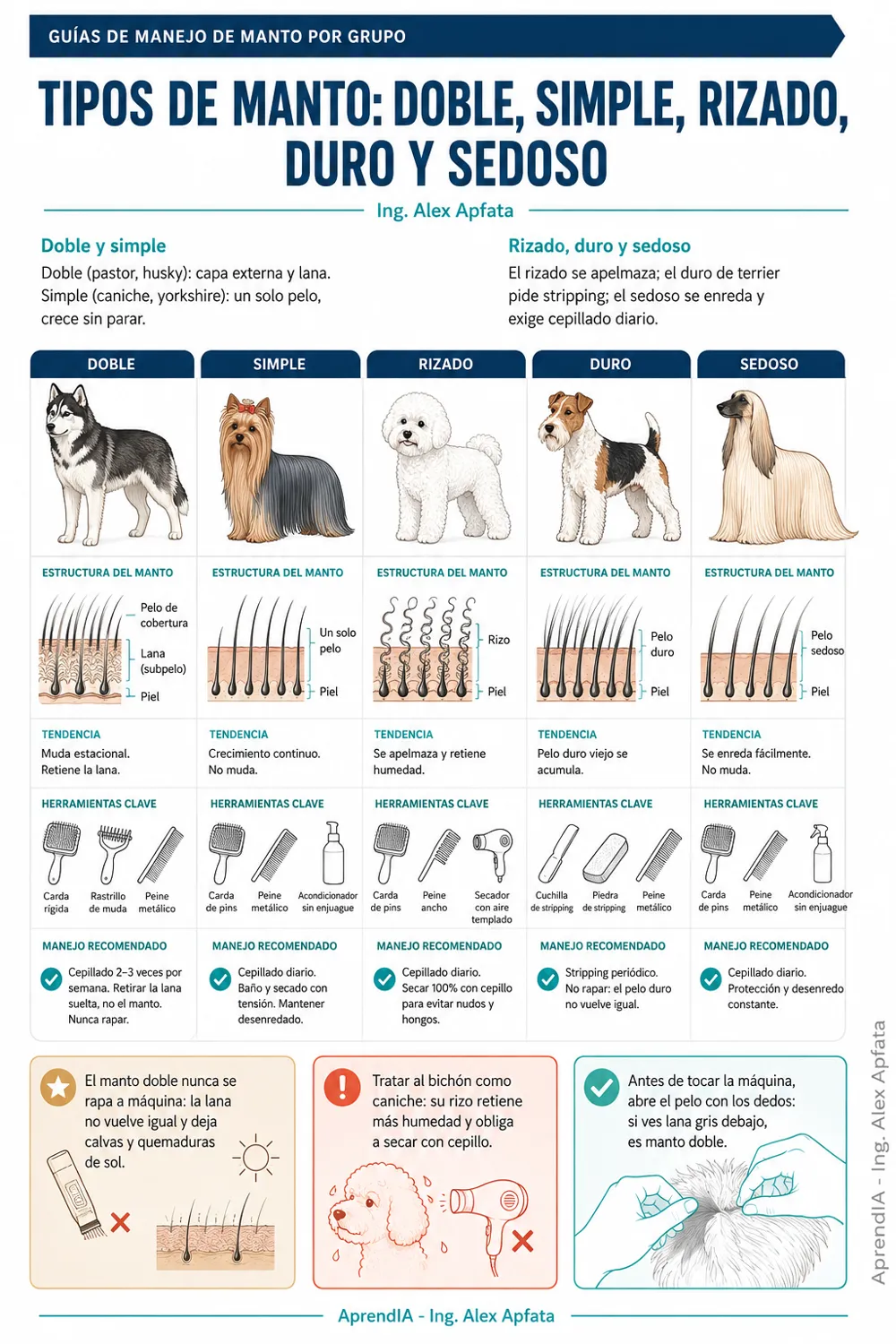 Página real 1 de Peluquería Canina: cortes por raza, manejo y bioseguridad — Edición México