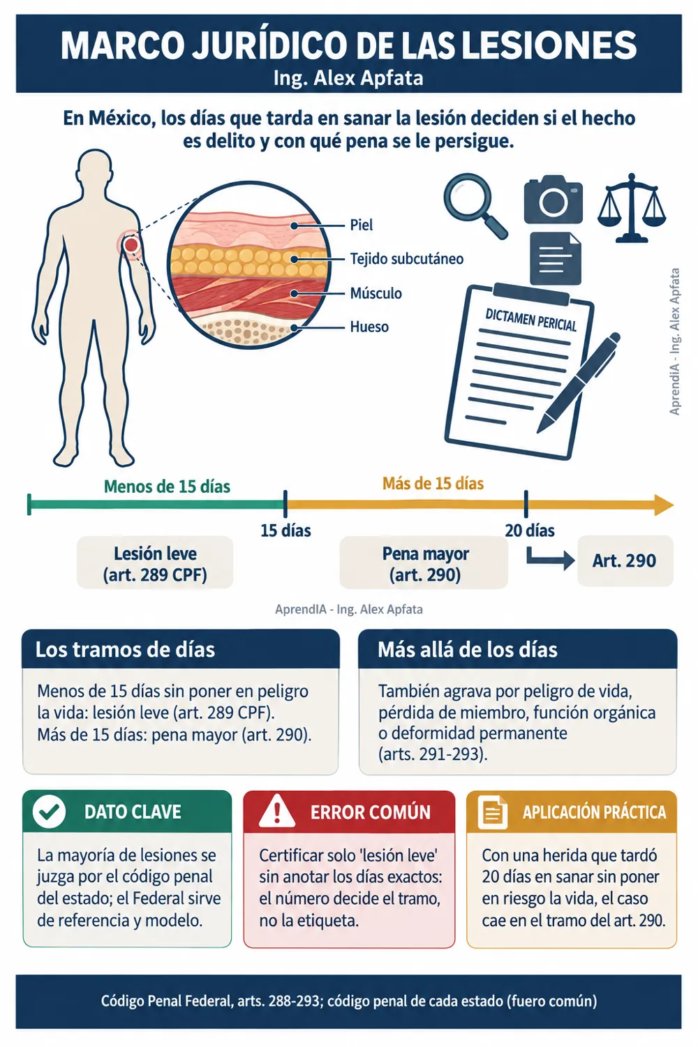 Página real 1 de Peritaje Médico Legal y Lesiones