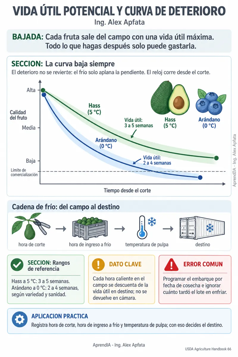 Página real 2 de Poscosecha, Calibres y Cadena de Frío en Aguacate Hass y Arándano para Exportación