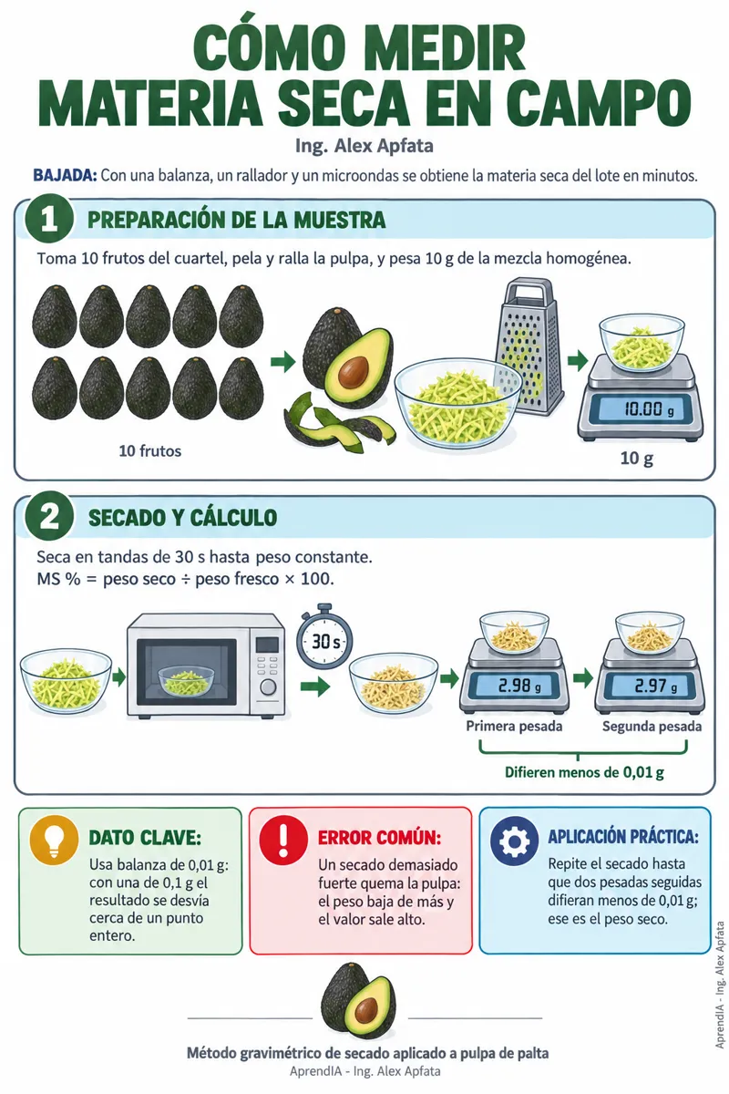 Página real 3 de Poscosecha, Calibres y Cadena de Frío en Aguacate Hass y Arándano para Exportación