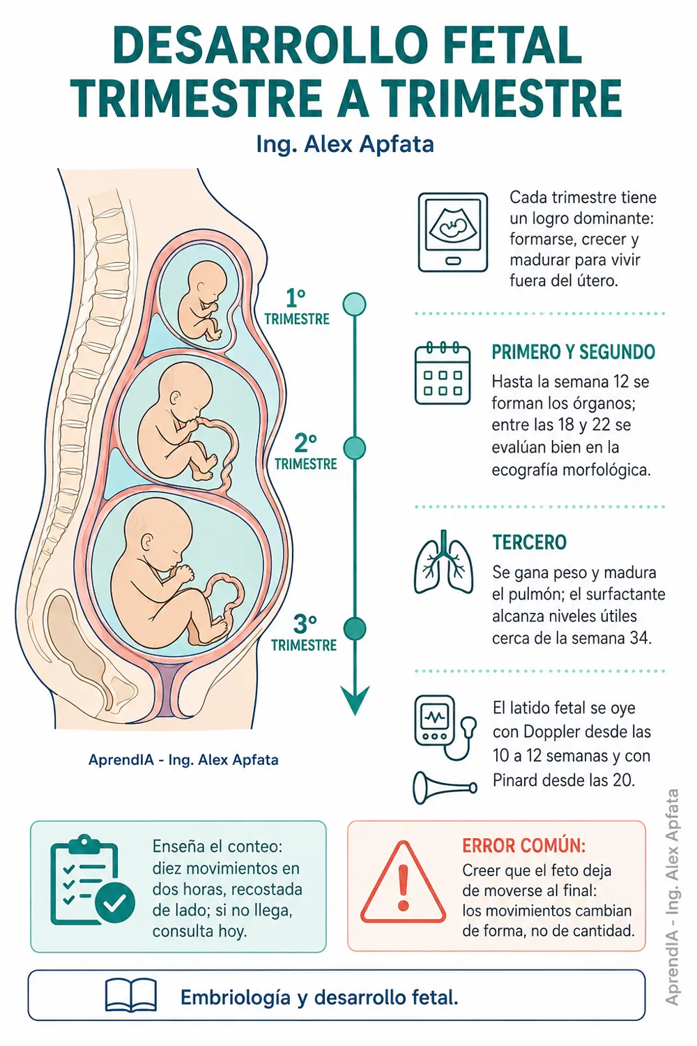 Página real 1 de Control Prenatal y Atención del Parto: guía visual