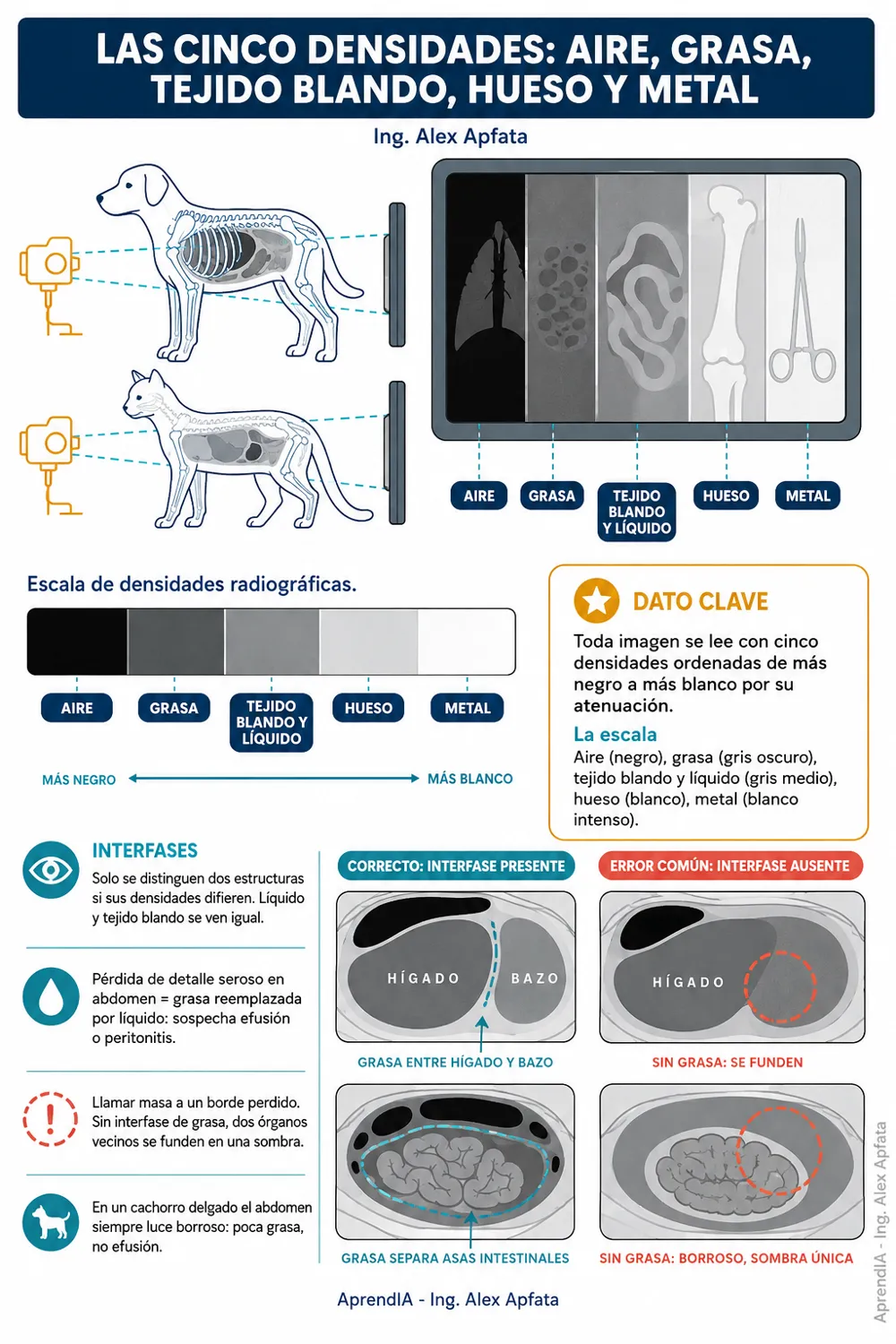 Página real 1 de Radiología Veterinaria: posiciones y lectura básica (Edición México)