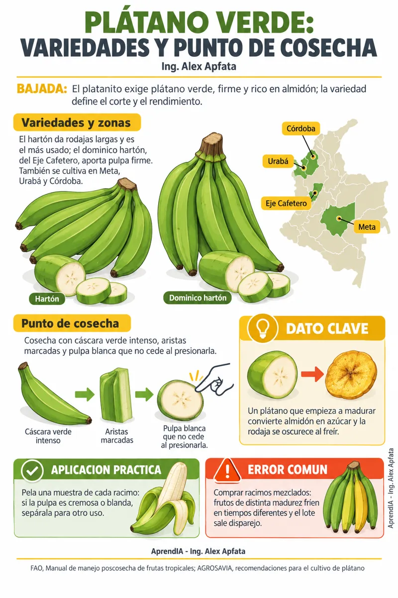 Página real 2 de Snacks Envasados: Platanitos, Papas y Batatas Fritas con Registro Sanitario INVIMA