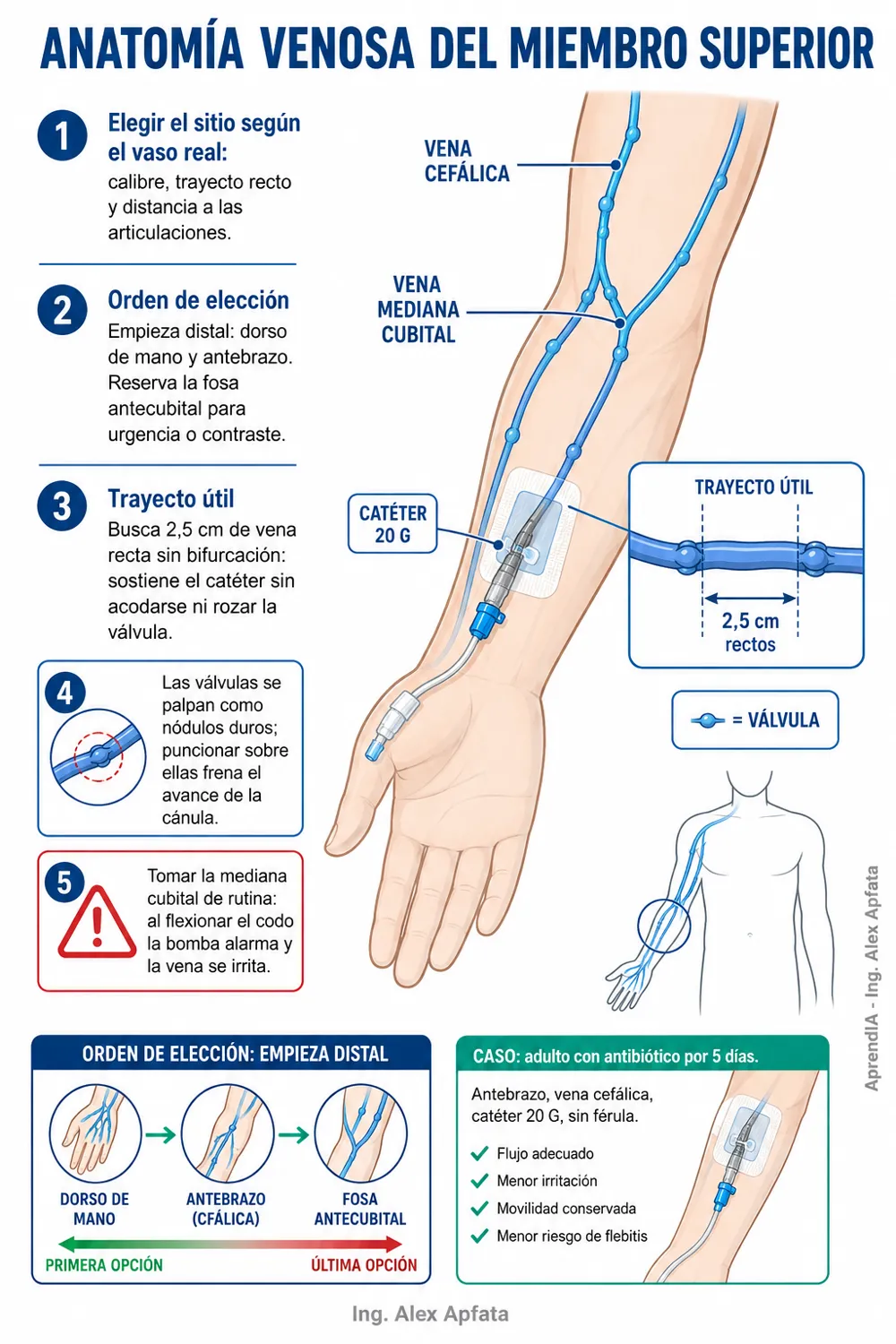 Página real 1 de Canalización de Vías Periféricas y Terapia Endovenosa